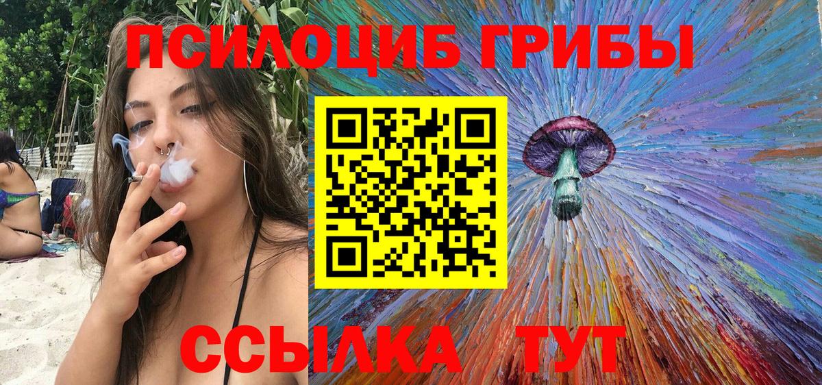 Галлюциногенные грибы мухоморы Гусиноозёрск