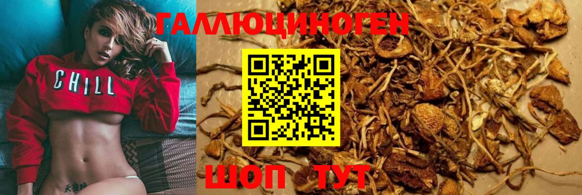 Псилоцибиновые грибы Magic Shrooms  Галлюциногенные грибы мухоморы  Вход с VPN  Гусиноозёрск 